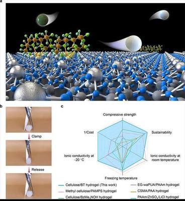 【材料】武大陳朝吉課題組生物質基低碳功能材料系列研究進展