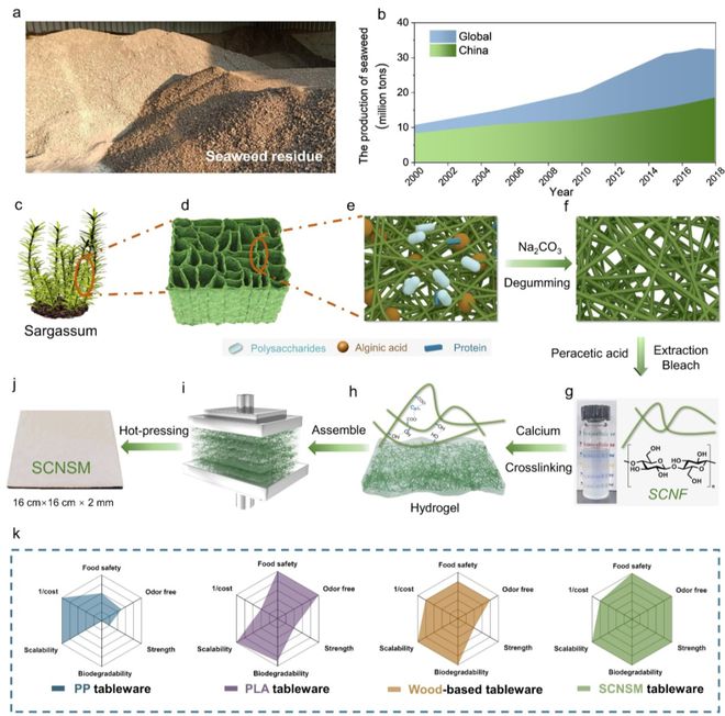 中科大俞書宏院士團隊AM:可食用、超強、熱穩定好的海藻基結構材料,可生物降解餐具新選擇!