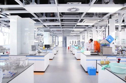 魯 力同行創(chuàng)佳績,再譜援藏新篇章 山東第九批援藏工作紀(jì)實