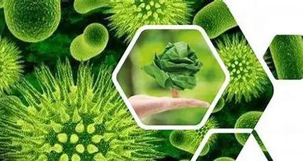 生物質(zhì)材料 綠色未來的基石——生物化工產(chǎn)品技術(shù)研發(fā)